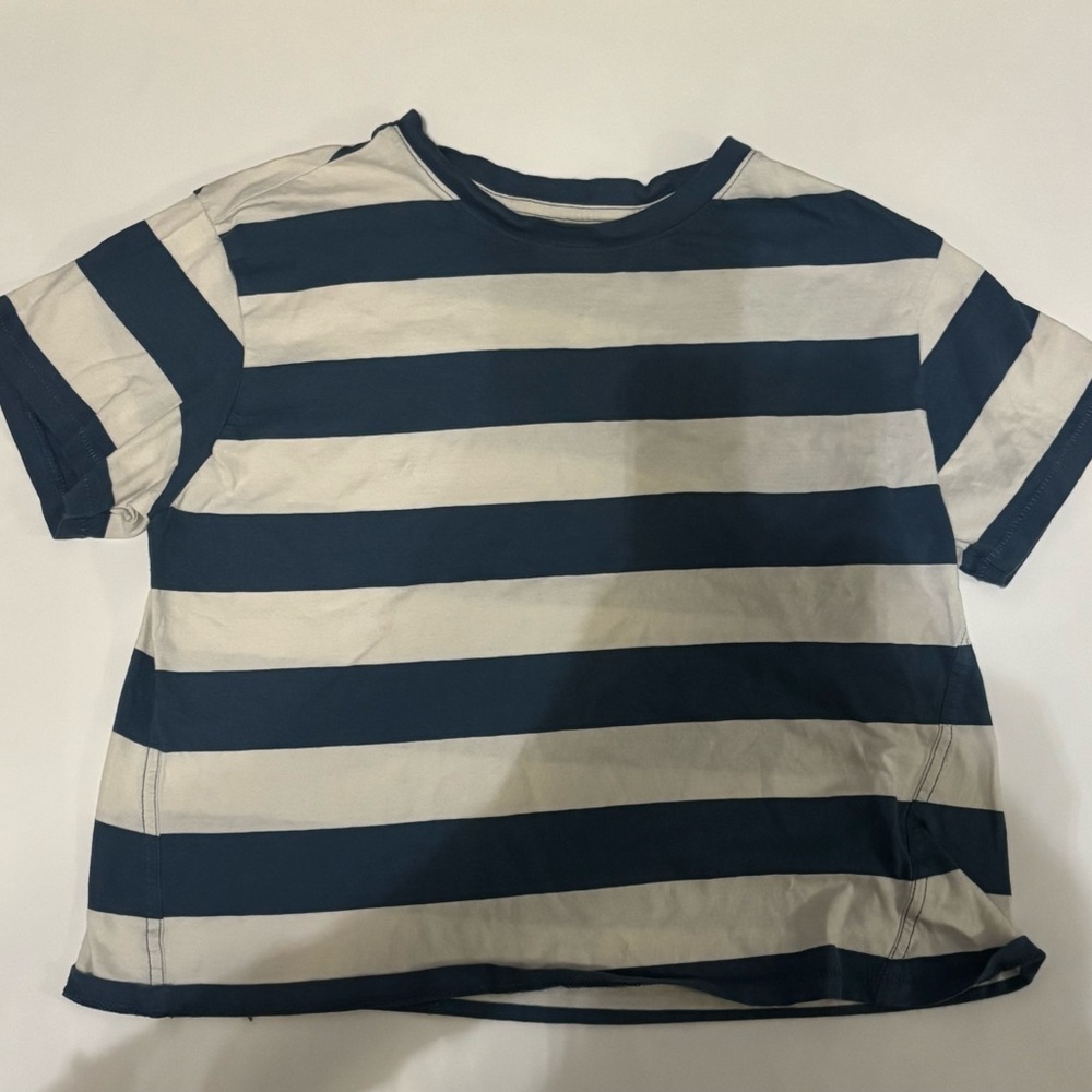 American Eagle Outfitters Navy and White Striped Tee